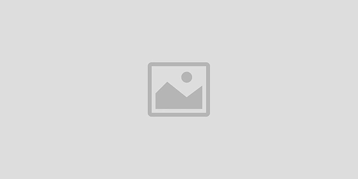 Shop Sofly Vendors promo