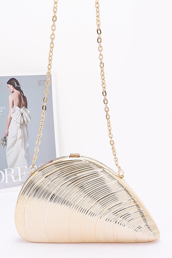Metallic Acrylic Clutch